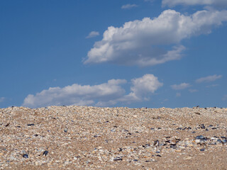 Mountains of small and large, colorful seashells against a cloudy sky. Large piles of seashells against the blue sky