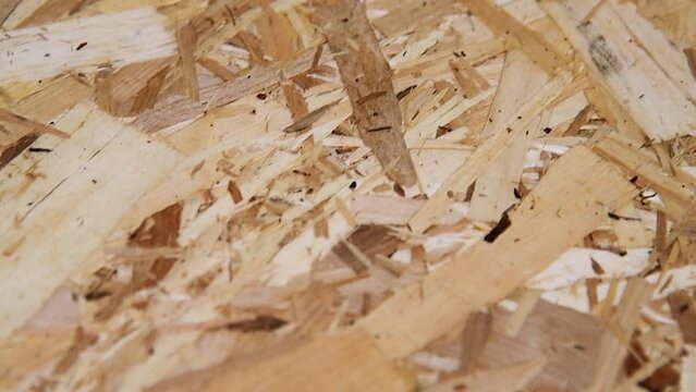 OSB sheets are presented in the hardware store