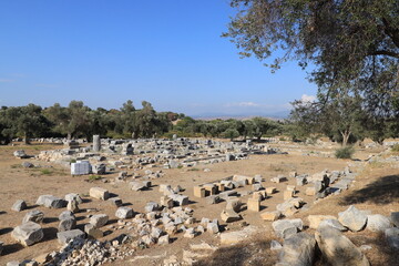 Teos was an ancient Greek city on the coast of Ionia, on a peninsula between Chytrium and Myonnesus. 