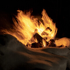 Campfire on snow in the winter forest