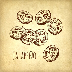 Obraz premium Ink drawing of jalapeno.