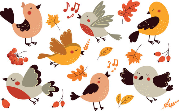 A set of cute autumn birds. A set of autumn illustrations for postcards and T-shirts.