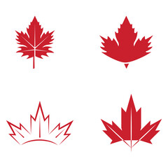 Maple leaf vector illustration