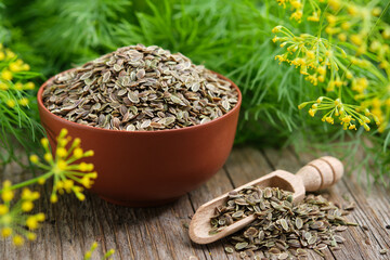 Bowl and scoop of fennel seeds and bunches of fresh green dill on wooden board. - obrazy, fototapety, plakaty
