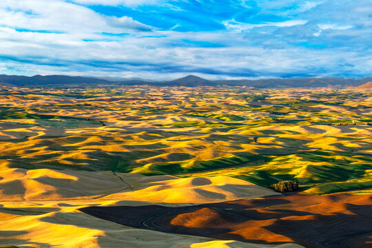 view of the Palouse, a vast region in eastern Washington of mostly wheat farming