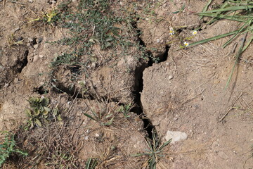 a dried up cracked ground