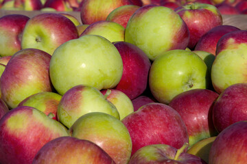 Fototapeta na wymiar apple background organic fruits fresh vegetarian food healthy nutrition