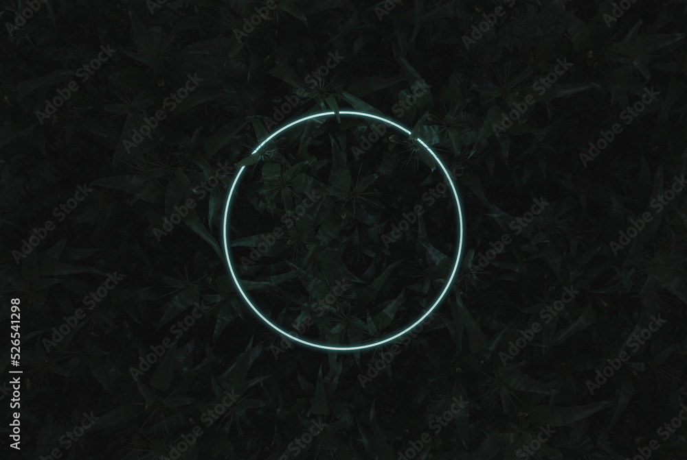Poster 3d rendering of lighten neon circle shape above corn plants. flat lay of minimal nature style concep