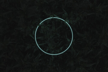 3D rendering of lighten neon circle shape above corn plants. Flat lay of minimal nature style concept
