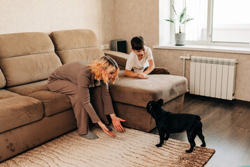 At home happy family play with their dog black french bulldog. Kid have fun in the stylish living...