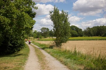 three bikers on a small road in countryside