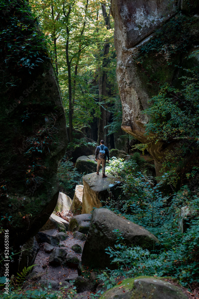 Poster man hiker with backpack in canyon with forest