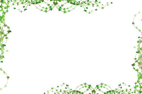 Green Vine Border Images &#8211; Browse 20,261 Stock Photos, Vectors ...