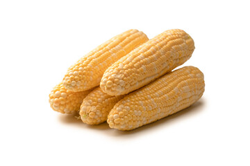 Yellow corn isolated on white background. Copyspace.
