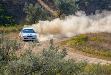 Sports Car on the Turn of the Rally Track and a Lot of Dust 08 © goodman_ekim