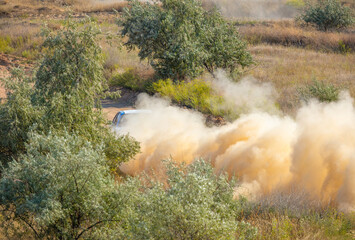 Sports Car on the Turn of the Rally Track and a Lot of Dust 09