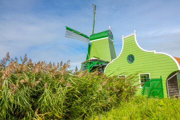 Green Dutch Windmill and Green Grass