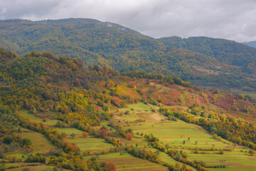 Fototapeta premium colorful nature background of carpathian mountains. forested hills in fall foliage. beauty of autumnal outdoor scenery in dappled light