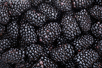 Blackberry background. Forest berries texture, full depth of field