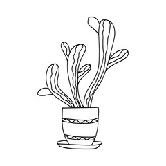 Indoor flower vector outline icon, hand drawn. Decorative drawing of a house plant in a pot for print, web and infographics on a white background.