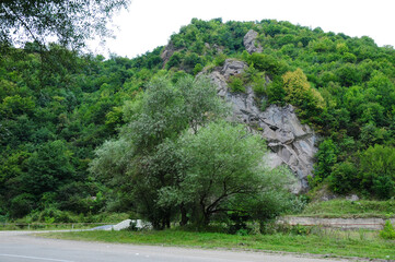 Rocky mountain with forest, Armenia