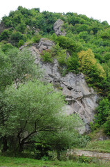 Rocky mountain with forest, Armenia