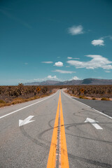 Nevada, Arizona road trip (Zion national park and Grand Canyon West)