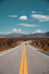 Nevada, Arizona road trip (Zion national park and Grand Canyon West)