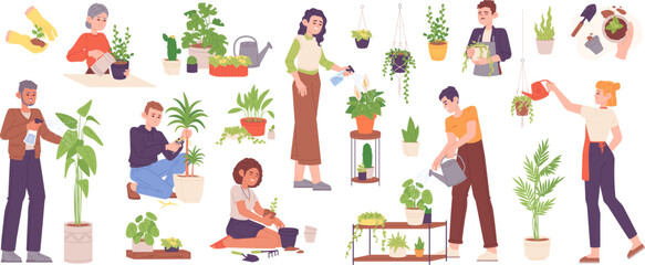 Hobby growing houseplants. Person planting and caring garden plant or grow houseplant in flowerpot, home horticulture concept farm sprout spray leafage, garish vector illustration