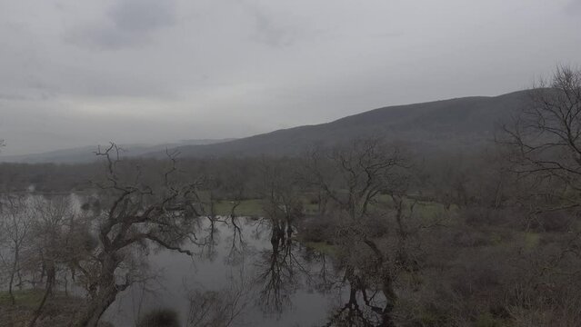 Drone moves backward with beautiful reflections on longoz forest covered by puddles and bare trees. Misty mountain range is in the background.