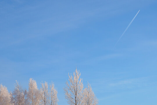 Blue Sky With Light Clouds. Birch Trees Covered With Snow And Illuminated By Low Winter Sun. Airplane Flies And Leaves White Streak Of Condensation Trail. Background With Sunny Winter Day