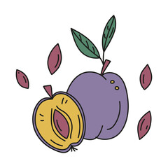 Vector illustration of plum whole and cut with pits in doodle style. Hand drawn badge and symbol for printing on baby clothes, sticker, textile design, design for grocery store.