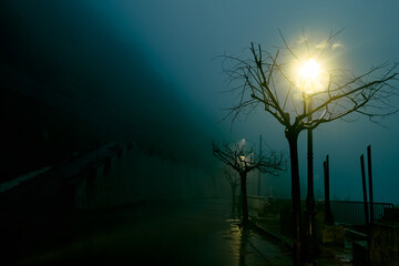 Leafless trees lit by the street lamps along the misty road on a rainy night. Spooky glossop street...