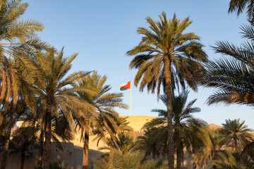 Fototapeta na wymiar Palm trees near Nizwa Castle and blue sky