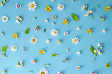 Creative floral arrangement. Floral pattern of a variety of flowers on a blue background.