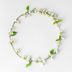 Floral spring layout on a white background. Wreath of jasmine flowers. Top view