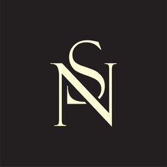 SN NS Letter Luxury logo vector image