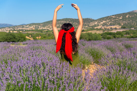 A Young Woman With A Red Bandanna In A Lavender Garden