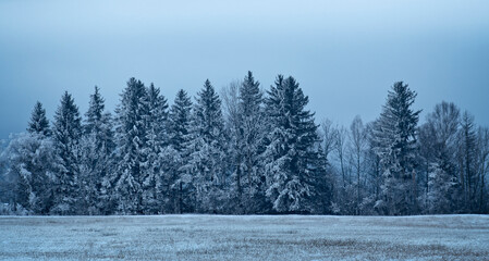 Gefrorene Landschaft mit Wald und Felder bei Sonnenaufgang an einem kalten Winter Morgen - Postkartenmotiv