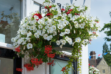View of a hanging basket of flowers in East Grinstead