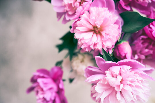 Part of a bouquet of beautiful flowers in close-up with space to copy. A beautiful bouquet of bright pink peonies. Wallpaper, greeting card, poster, flower shop concept. High quality photo