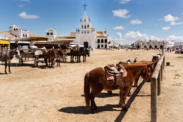 Paisaje con caballos de la aldea del Rocío en Huelva.