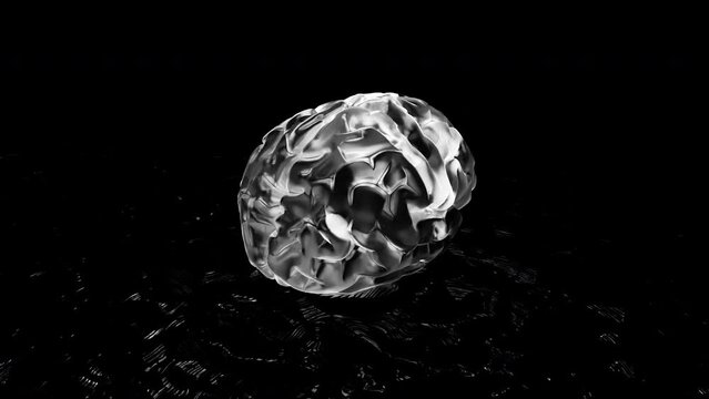 Black background. Motion.A silvery illuminated silhouette of the brain made in animation that rotates around.