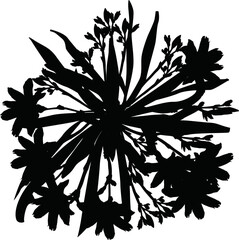 garden flower black sketch on white