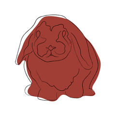Cute rabbit, bunny, line art, one line art, color spots