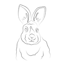 Fototapeta premium Cute little rabbit, bunny, black and white line art, one line art