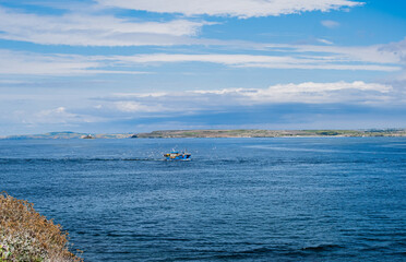 Recreational fishing boat returning to harbor surrounded with seagulls on sunny day; distant coast in background