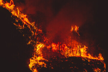 Feu de Vorrepe