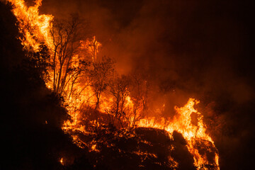 Feu de Vorrepe