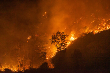 Feu de Vorrepe